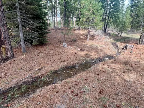 856 Prospector Dr, Clio, CA 96106 photo 14