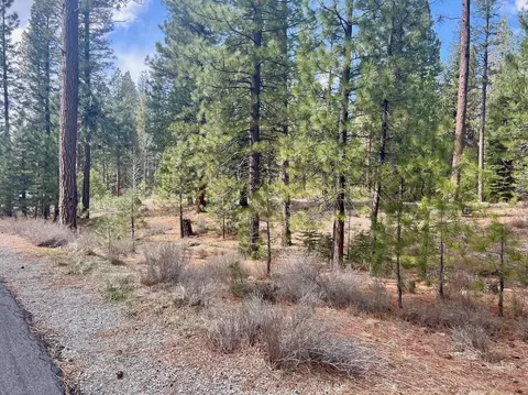 856 Prospector Dr, Clio, CA 96106 photo 16