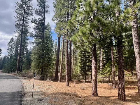856 Prospector Dr, Clio, CA 96106 photo 8
