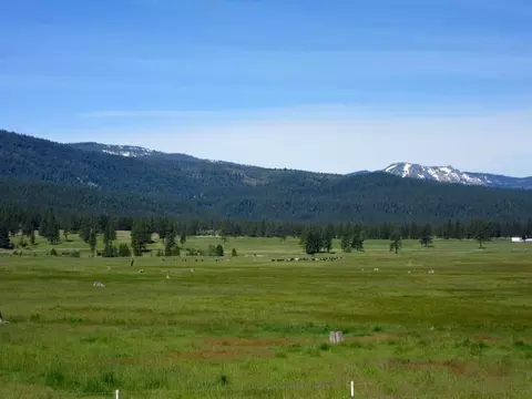 856 Prospector Dr, Clio, CA 96106 photo 39