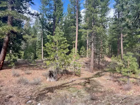 856 Prospector Dr, Clio, CA 96106 photo 18