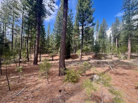 856 Prospector Dr, Clio, CA 96106 photo 5