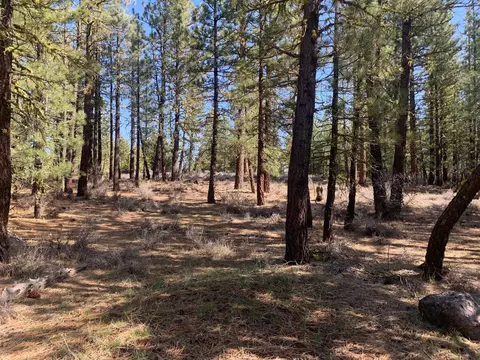 7050 Sylvan Rd, Portola, CA 96122