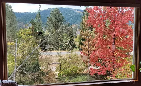 Other - 60139 Mount Tomba Rd, Graeagle, CA 96103 photo 2 of 8