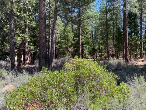 735 Yeargin Dr, Portola, CA 96122 photo 2