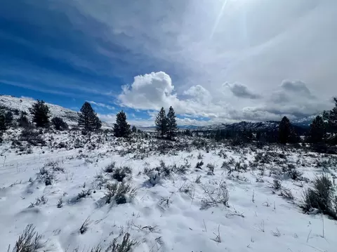 79882 Black Oak Rd, Beckwourth, CA 96129