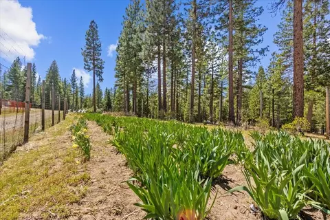 Other - 300 Blue Jay Dr, Blairsden, CA 96103 photo 18 of 20