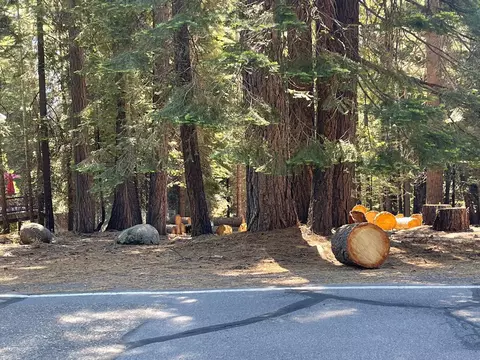 1134 Lake Ridge Rd, Lake Almanor, CA 96137