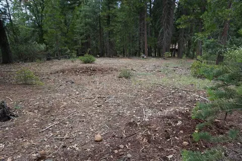 59171 Overload Rd, Cromberg, CA 96103 photo 5