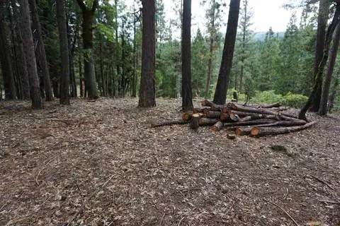 59171 Overload Rd, Cromberg, CA 96103 photo 4