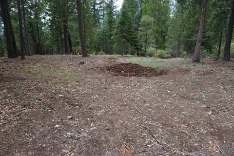 59171 Overload Rd, Cromberg, CA 96103 photo 2