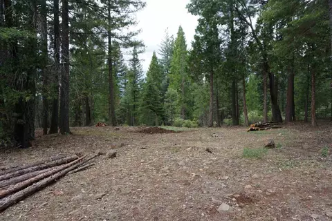 59171 Overload Rd, Cromberg, CA 96103 photo 3