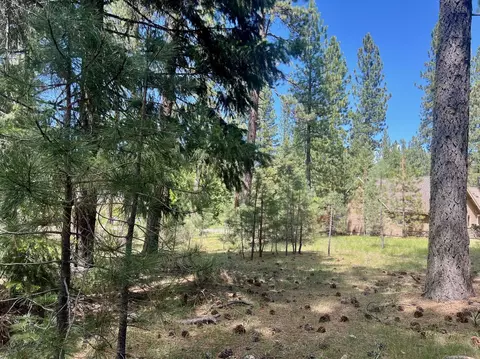 375 Eureka Springs Dr, Blairsden, CA 96103 photo 15