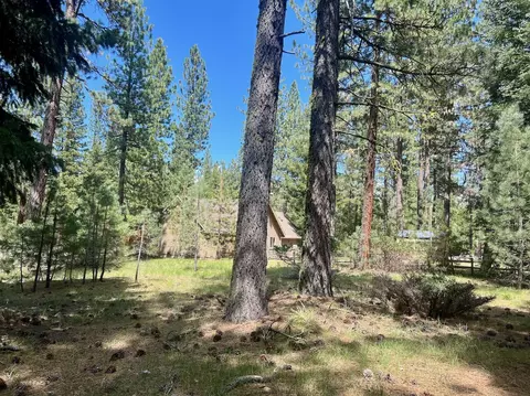 375 Eureka Springs Dr, Blairsden, CA 96103 photo 14