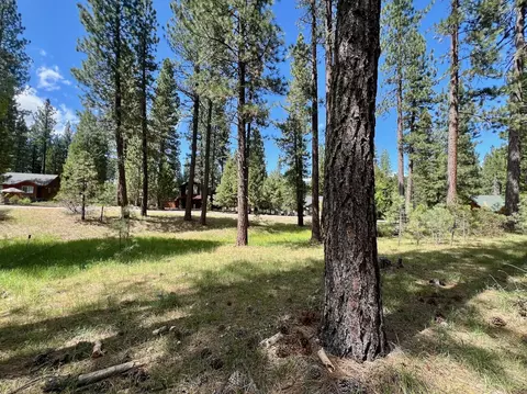 375 Eureka Springs Dr, Blairsden, CA 96103 photo 3