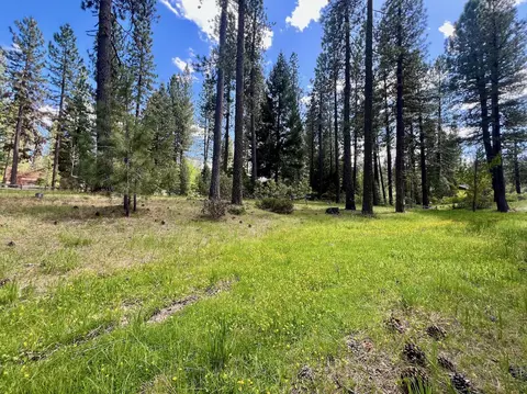 375 Eureka Springs Dr, Blairsden, CA 96103 photo 26
