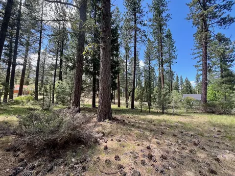 375 Eureka Springs Dr, Blairsden, CA 96103 photo 13