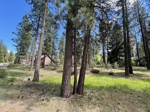375 Eureka Springs Dr, Blairsden, CA 96103 photo 25
