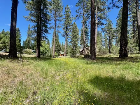 375 Eureka Springs Dr, Blairsden, CA 96103 photo 21