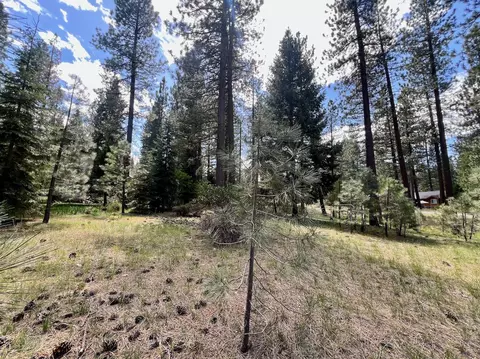 375 Eureka Springs Dr, Blairsden, CA 96103 photo 9