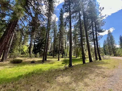 375 Eureka Springs Dr, Blairsden, CA 96103 photo 24