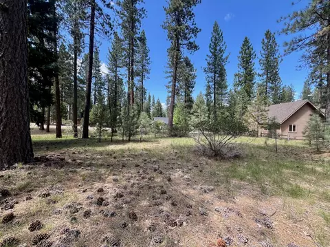 375 Eureka Springs Dr, Blairsden, CA 96103 photo 12