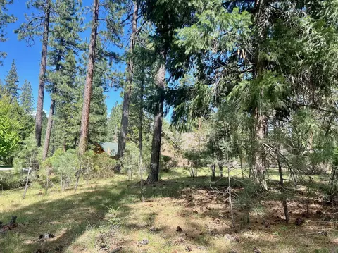 375 Eureka Springs Dr, Blairsden, CA 96103 photo 17