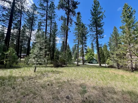 375 Eureka Springs Dr, Blairsden, CA 96103 photo 11