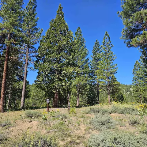 403 Big Grizzly, Portola, CA 96122