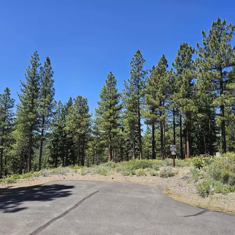 175 S Ridge Rd, Portola, CA 96122
