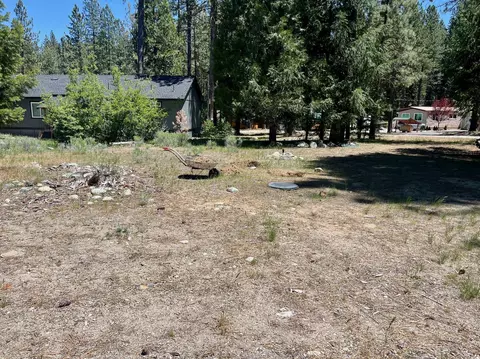 24 Miwok Trl, Graeagle, CA 96103 photo 9