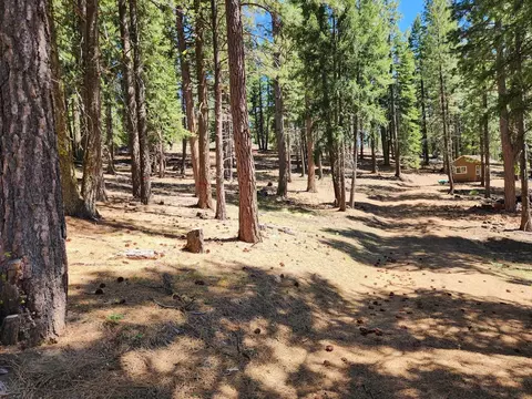 69433 Porcupine Rd, Graeagle, CA 96103 photo 10