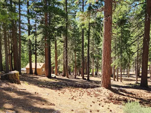69433 Porcupine Rd, Graeagle, CA 96103 photo 12