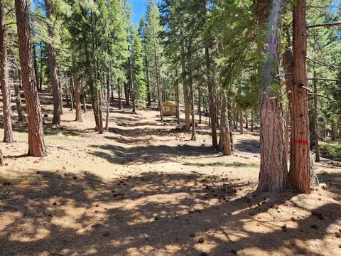 69433 Porcupine Rd, Graeagle, CA 96103 photo 11
