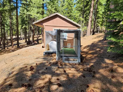 69433 Porcupine Rd, Graeagle, CA 96103 photo 2