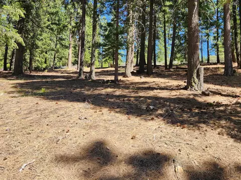 69433 Porcupine Rd, Graeagle, CA 96103 photo 8