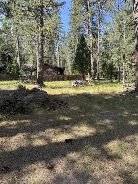 30 Paiute Trl # 3, Graeagle, CA 96103 photo 5