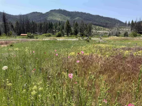 174 Hot Springs Rd, Greenville, CA 95947