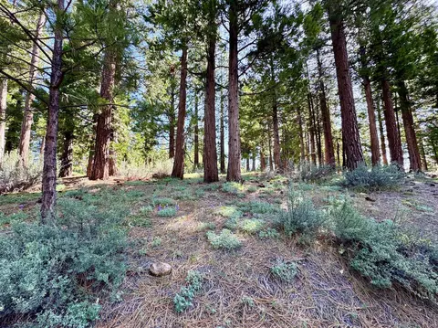 848 Startop, Clio, CA 96122 photo 3