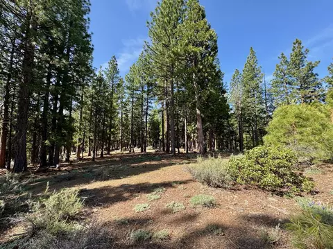 848 Startop, Clio, CA 96122 photo 8