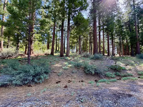 848 Startop, Clio, CA 96122 photo 2