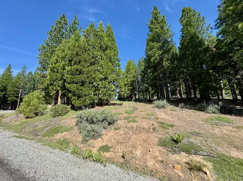 848 Startop, Clio, CA 96122 photo 5