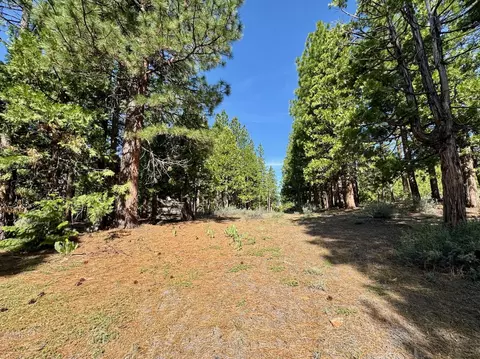 848 Startop, Clio, CA 96122 photo 10