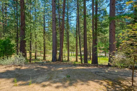 48 Fox Tail Ln, Clio, CA 96106 photo 31