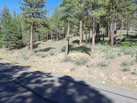 1125 Cloud Painter #6, Portola, CA 96122