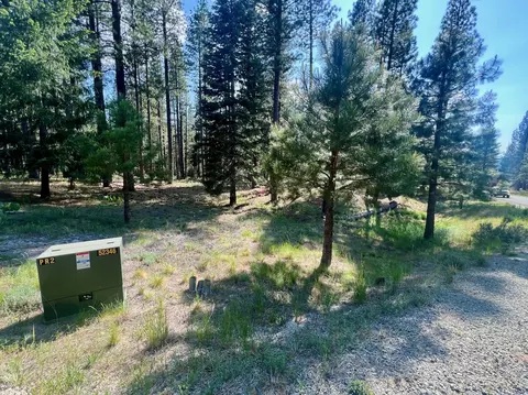 670 Redtail Loop, Clio, CA 96106 photo 11