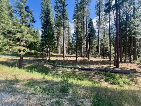 670 Redtail Loop, Clio, CA 96106 photo 7