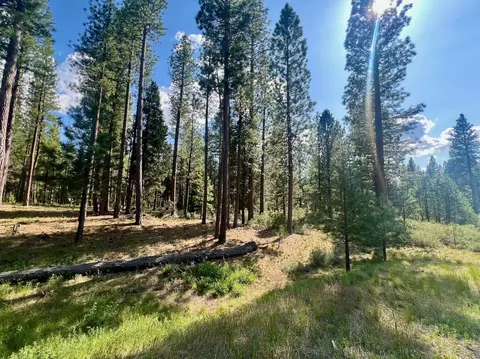 670 Redtail Loop, Clio, CA 96106