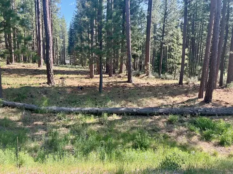 670 Redtail Loop, Clio, CA 96106 photo 4