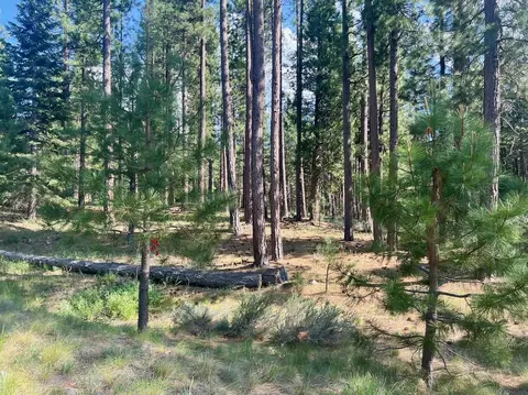 670 Redtail Loop, Clio, CA 96106 photo 13